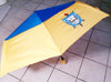 Sigma Gamma Rho Sorority Hurricane Large Umbrella Blue Handle