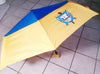 Sigma Gamma Rho Sorority Hurricane Large Umbrella Blue Handle